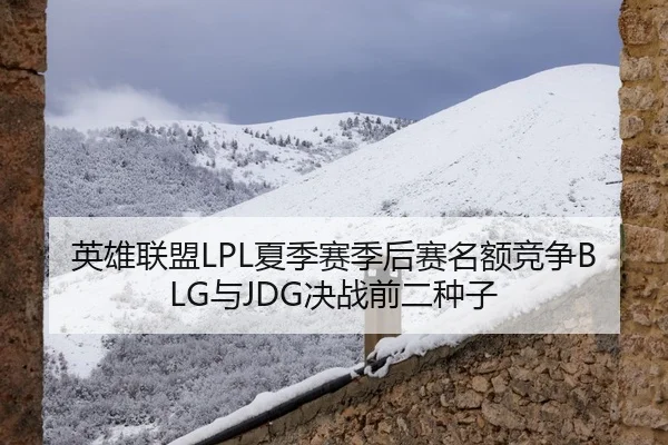 英雄联盟LPL夏季赛季后赛名额竞争BLG与JDG决战前二种子